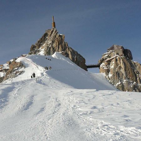 Appartement Chamonix Face Au Mont Blanc Екстер'єр фото